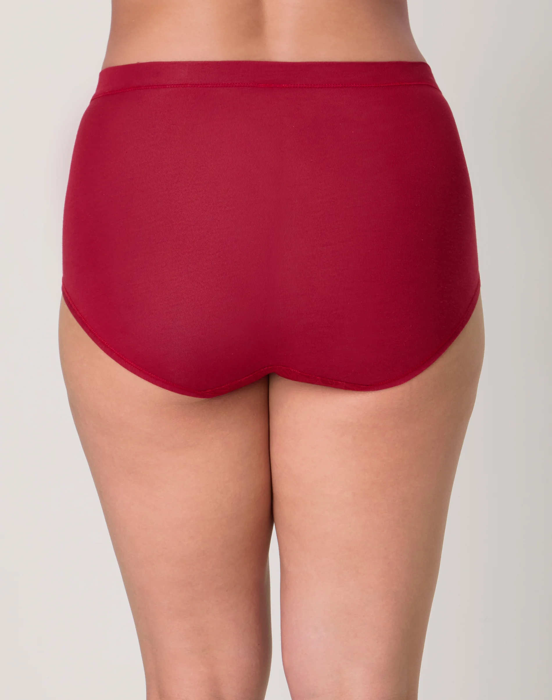 Bali Breathe Cotton Modal Lace High Rise Brief #DFCLBF